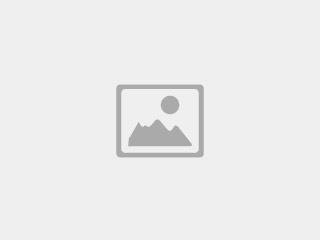 فروش سگ شیتزو واکسن زده 4 ماهه